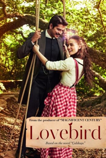 مسلسل طائر النمنمة مترجم الموسم 1 الحلقة 19
